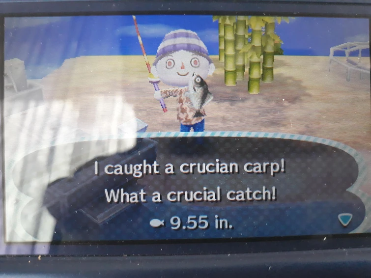 Discuss Everything About Animal Crossing Wiki Fandom