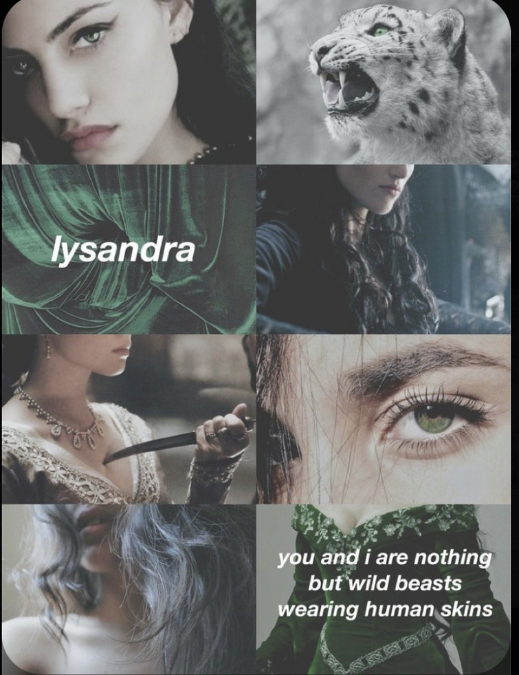 Fandom Image