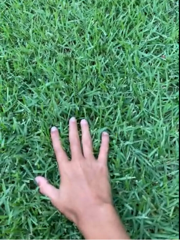 touching grass