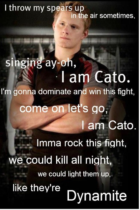 hunger games memes cato