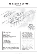 Morpho Schematics (EN)