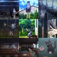 Ep11 edit3.jpg (527 KB)