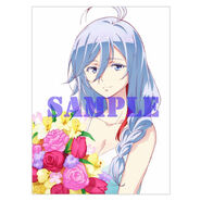 Animate purchase bonus B2 tapestry (any volume)