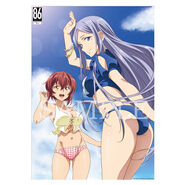 Animega purchase bonus B1 tapestry (any volume)