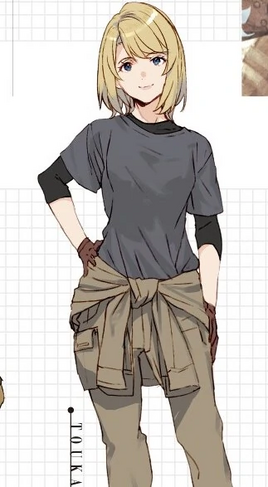 ToukaKeishaLightNovel