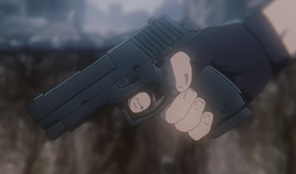 P226