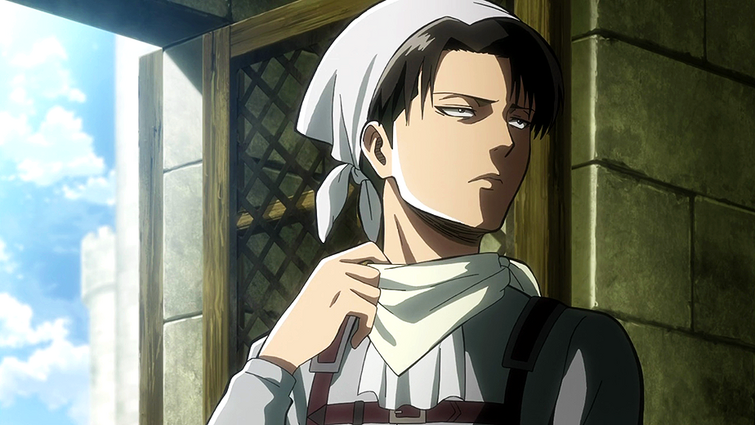 Levi stan new arrivals