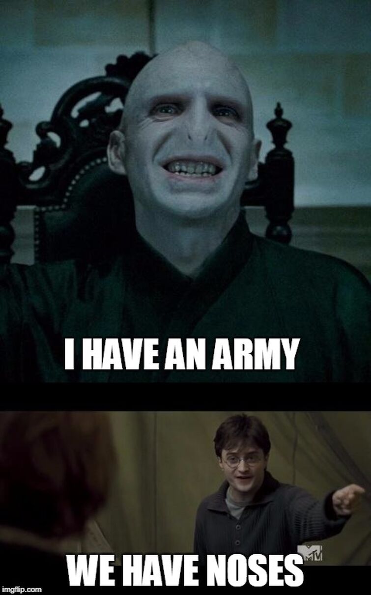 This is why Harry Potter won against Voldemort - Imgflip