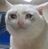 LonelyWIthYou's avatar