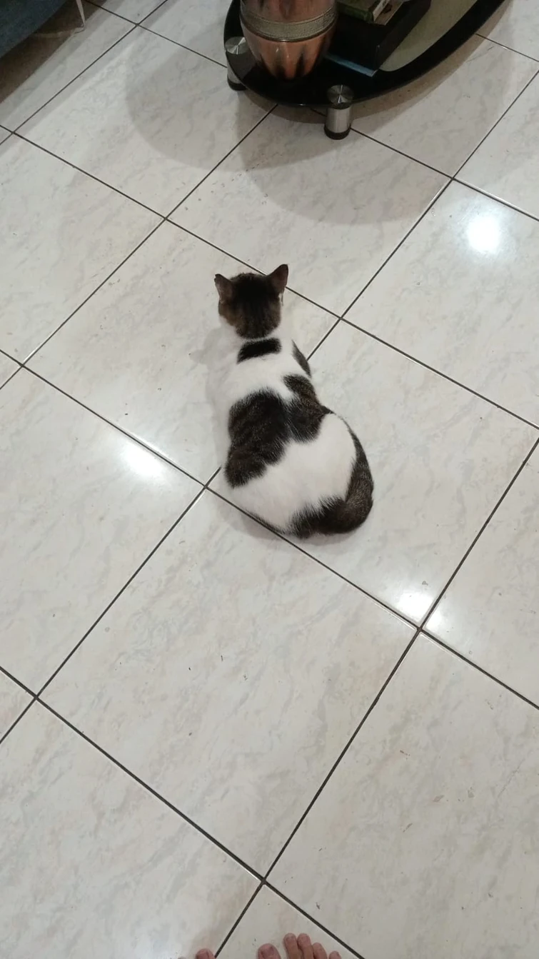 The Outpost (Off Topic Thread) | Fandom