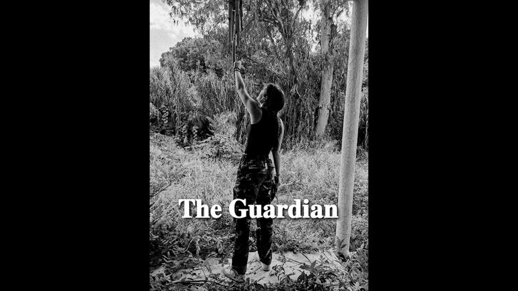 The Guardian