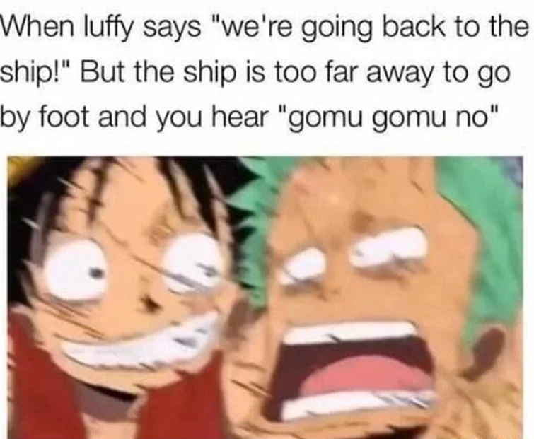 One piece memes pt 2 Fandom