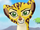 Fuli the cheetah1