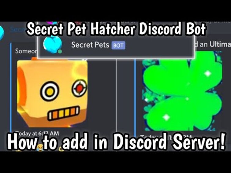 BGS Discord Bot Fandom