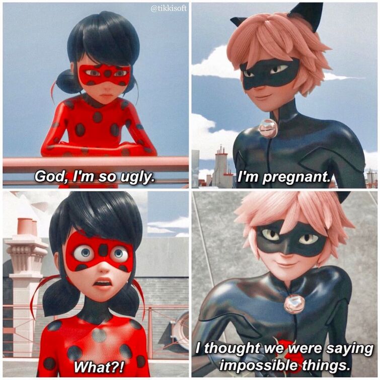 Miraculous: Main Characters  Miraculous ladybug movie, Miraculous ladybug  fanfiction, Miraculous ladybug memes