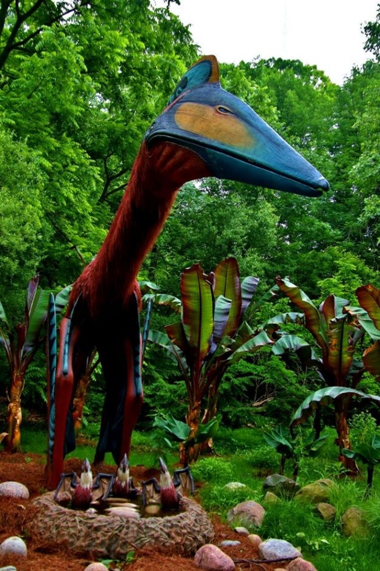 rate-this-animal-part-38-fandom