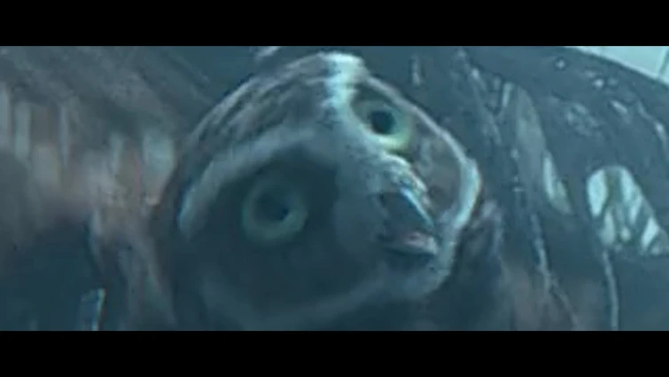 Owls of Ga'hoole but without context