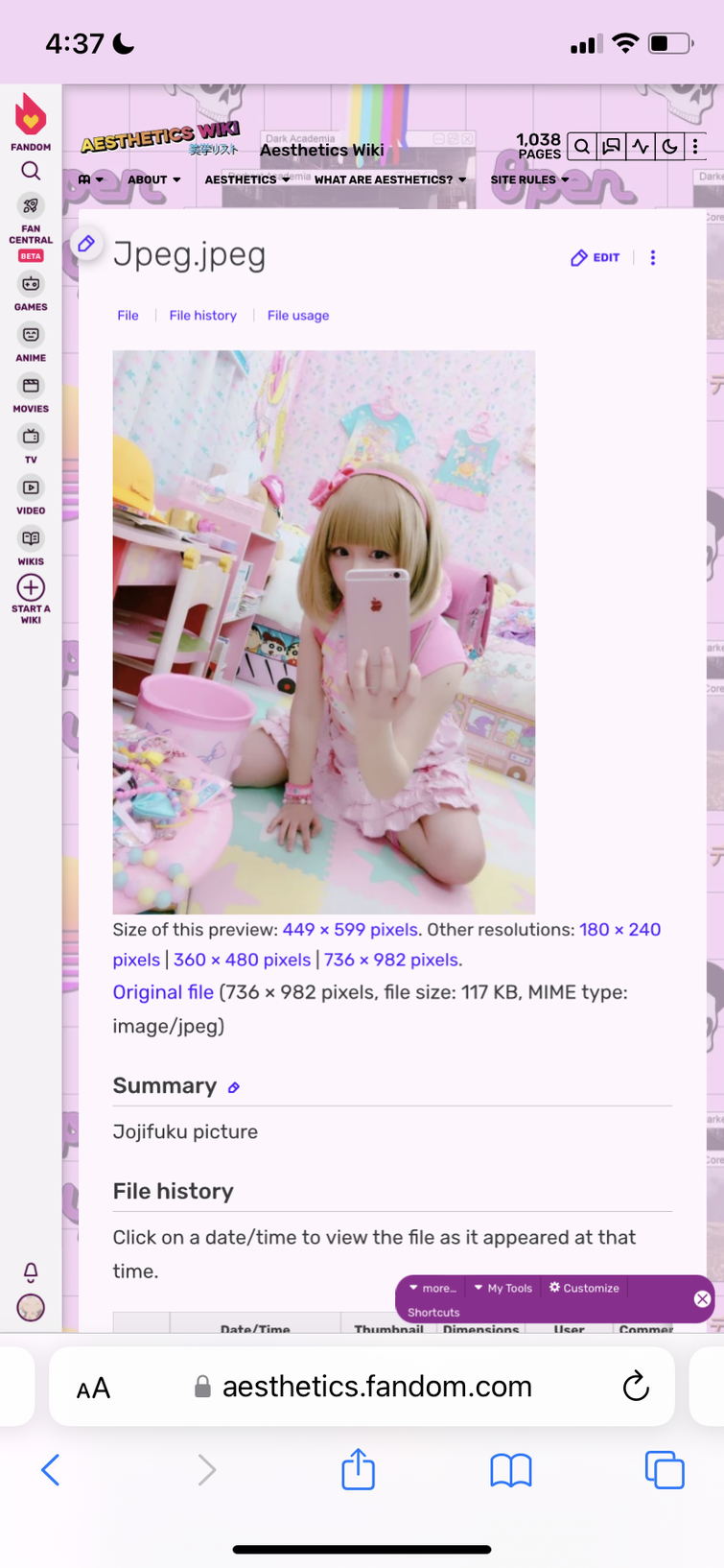 Fandom Image
