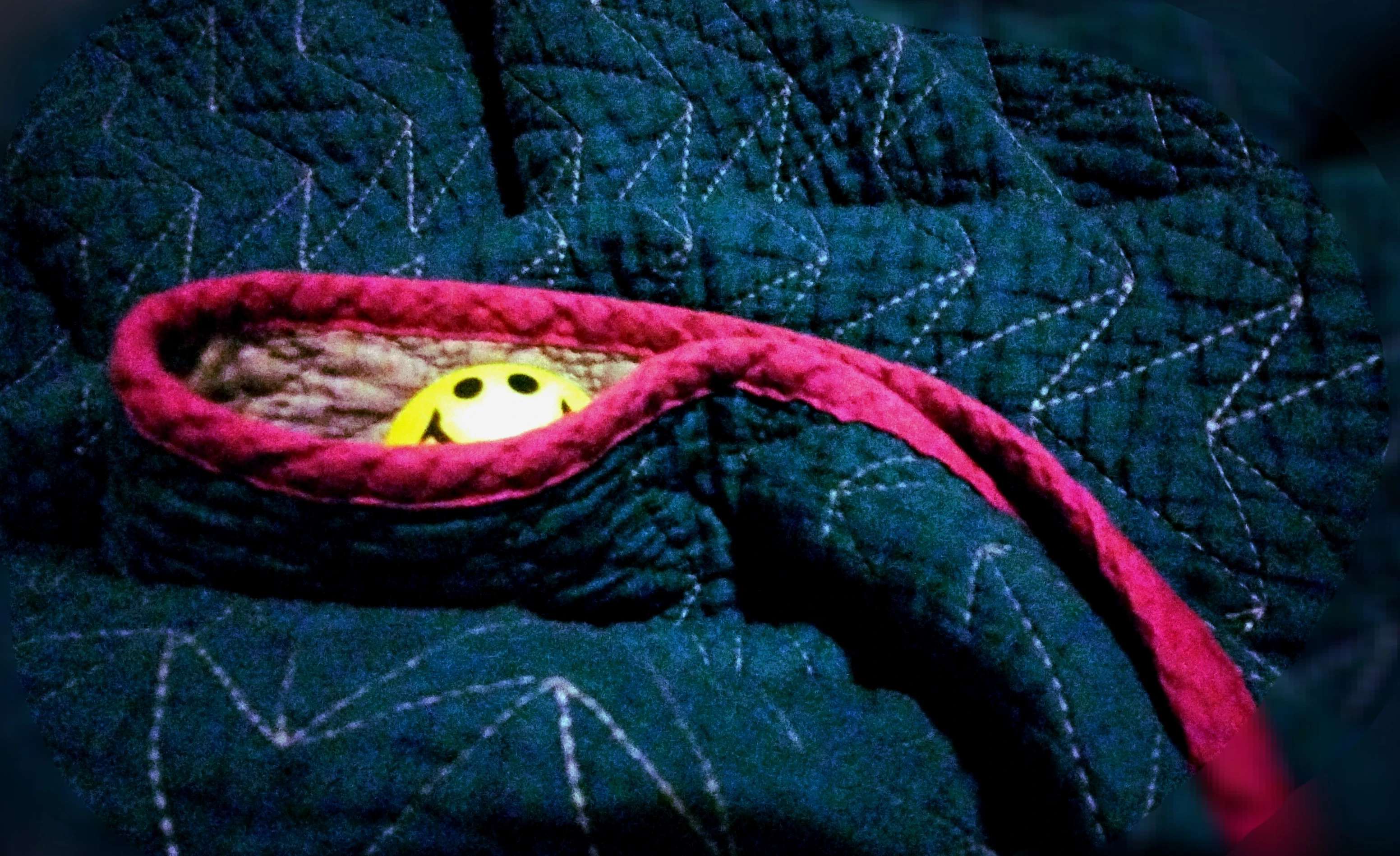 Was boutta flop onto my bed for the day and saw this monstertrucker in