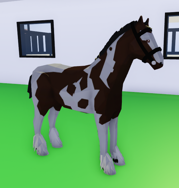 Friesian, Horse Valley 2 ROBLOX Wiki