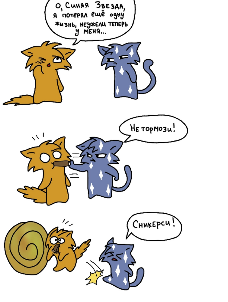 коты воители тесты на знание. коты воители звездоцап приколы. анекдоты про котов воителей. кв тесты. коты воители тесты.