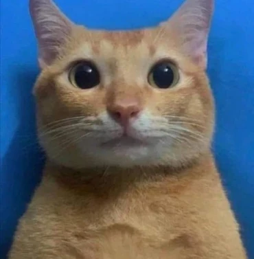 Might Come Tmrw Def Coming This Week Fandom