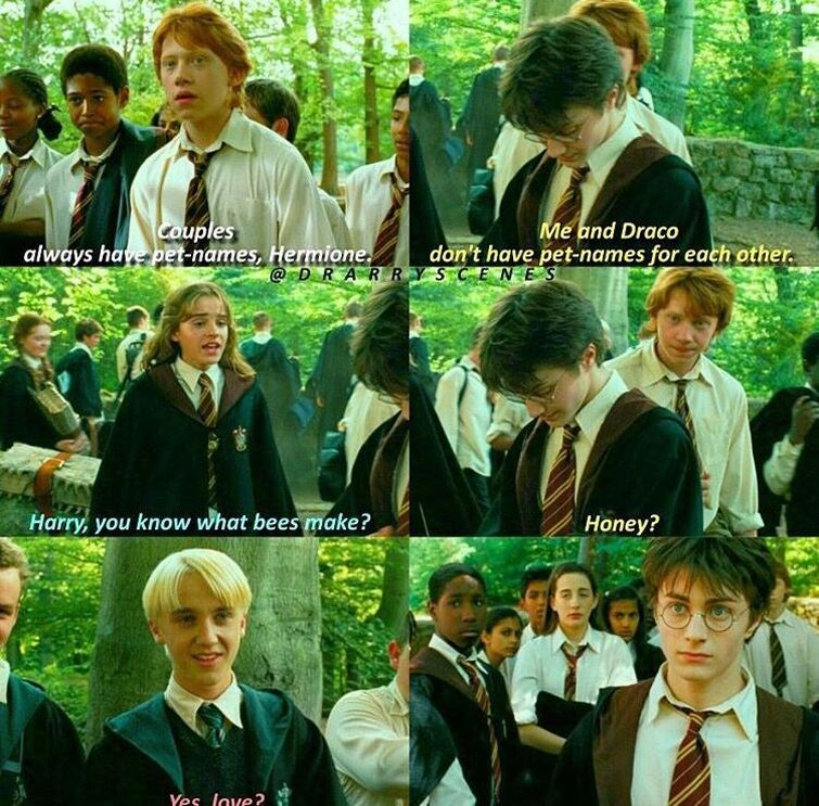 Drarry Memes