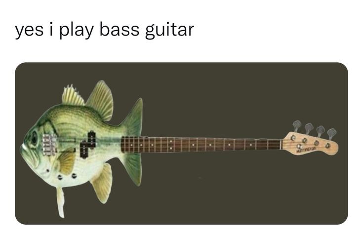 Buy Dillo Funny Playin' Bass Guitar Player Bass Fish Fishing