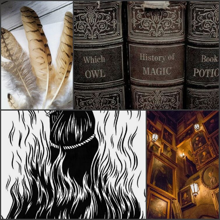 Fandom Image