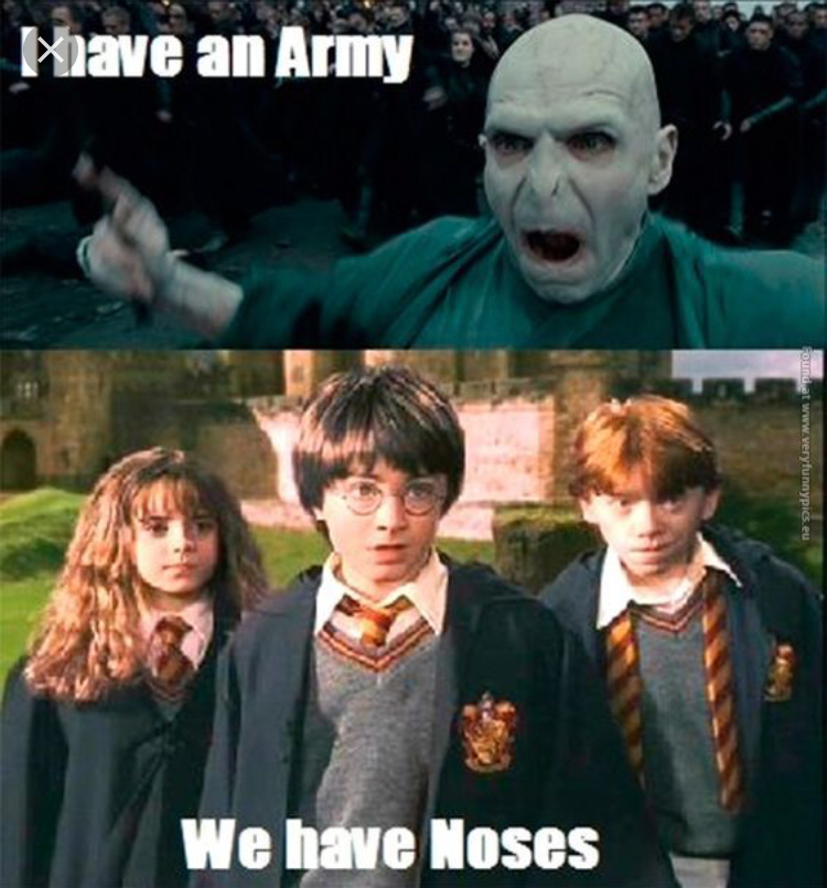 Voldemort nose memes!