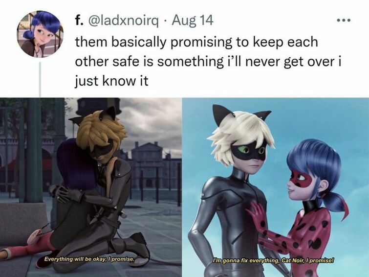 Miraculous chat blanc fanfiction