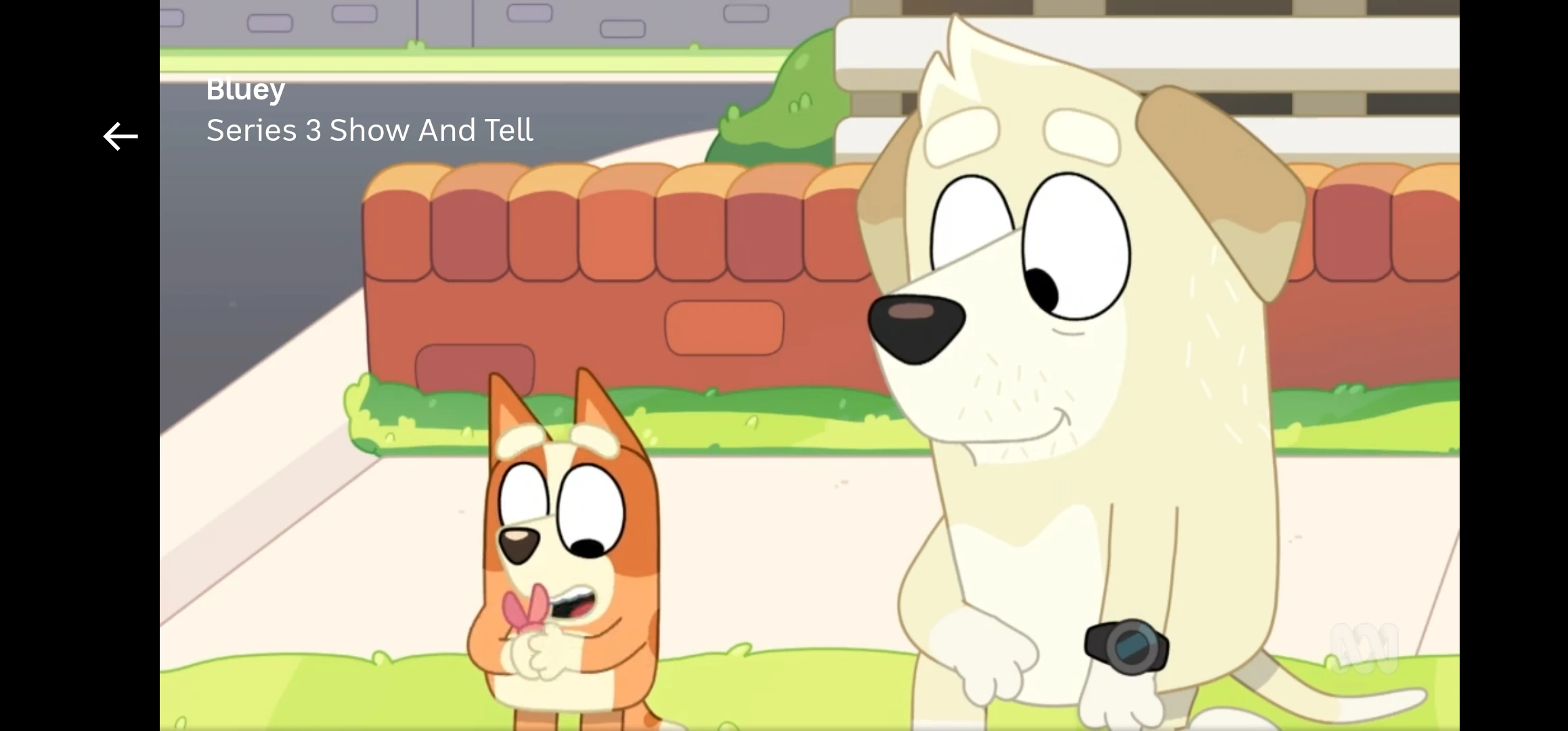 The episode "Show & Tell" was amazing! Fandom