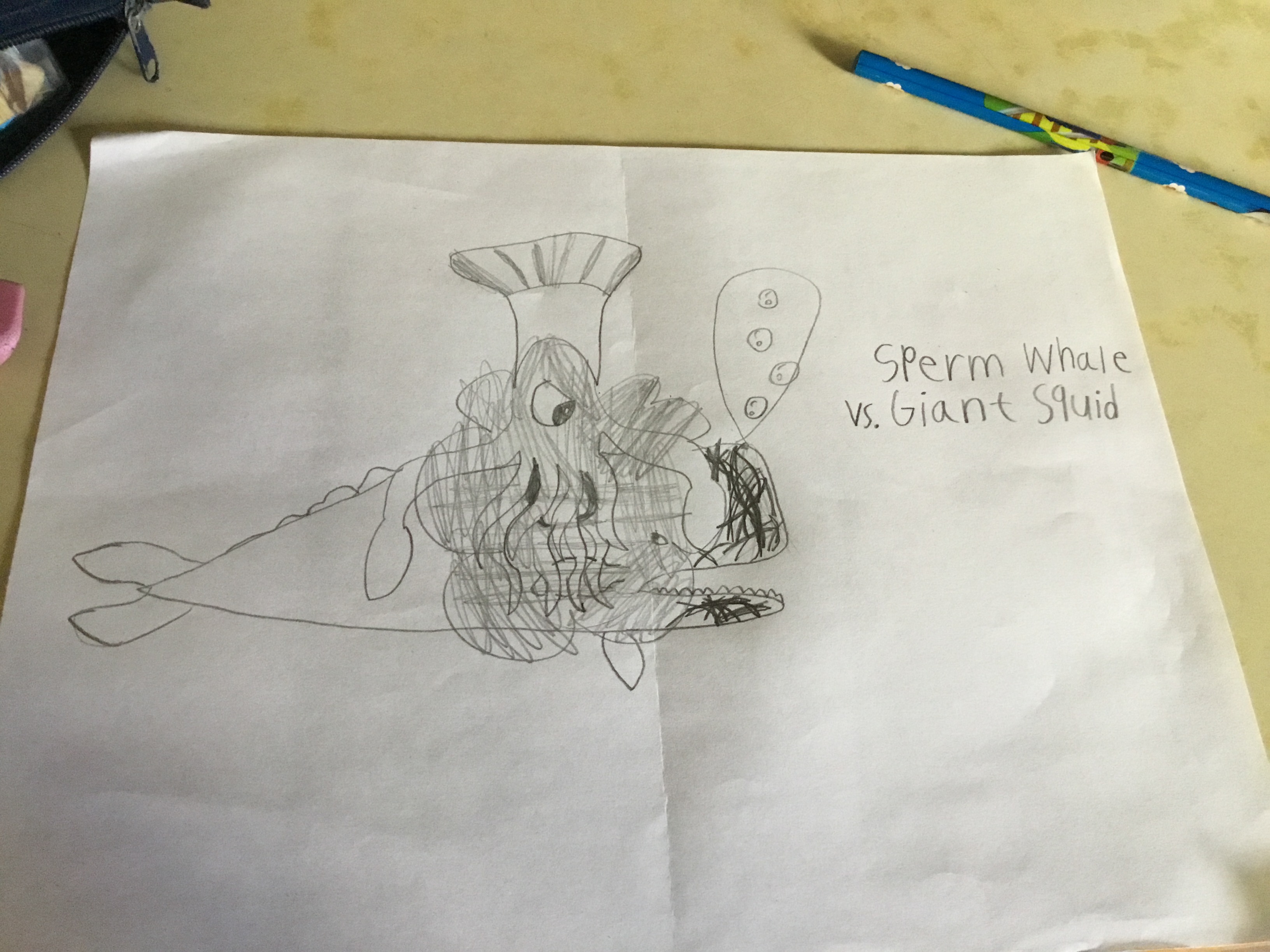 sperm whale vs giant squid drawing