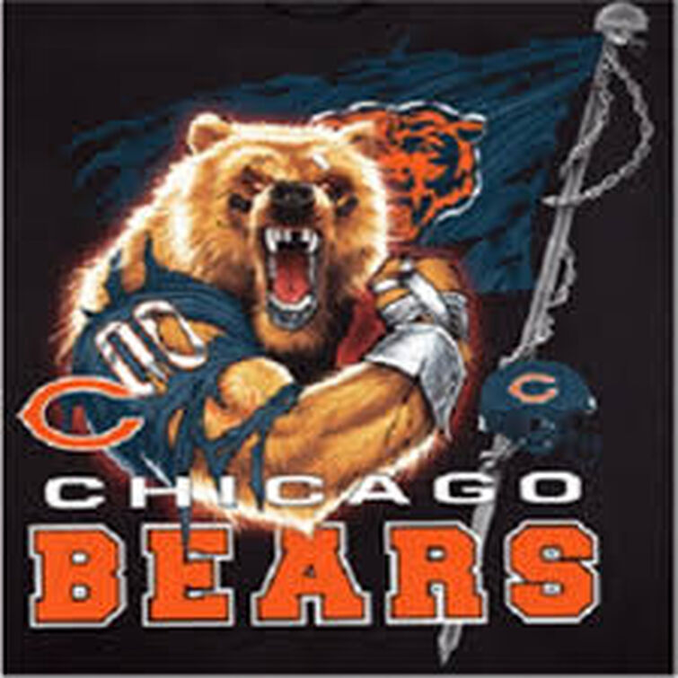 Let's Go Bears!  Chicago bears logo, Da bears, Bear