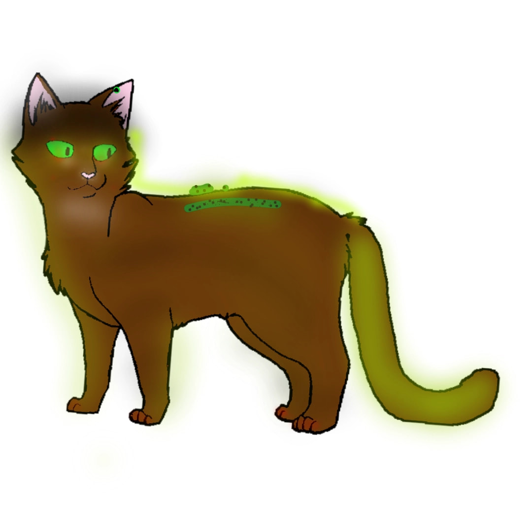 Коты воители
