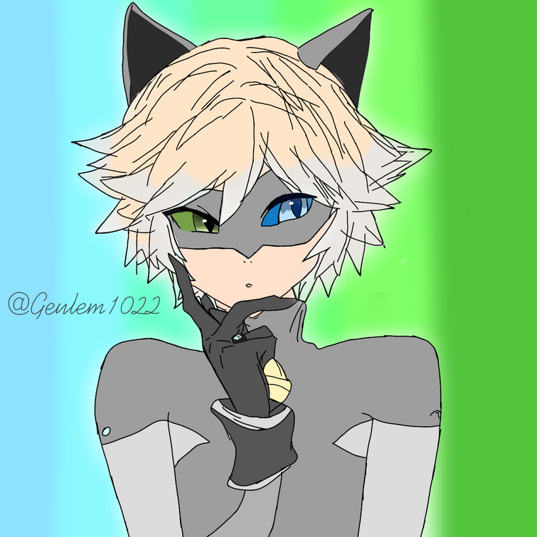 Chat Noir Chat Blanc contest Fandom