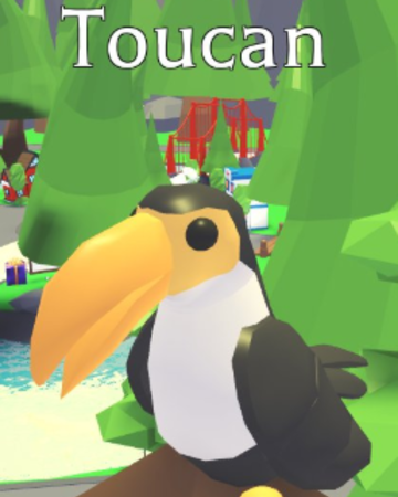 toucan adopt fandom mango exotic hello say adoptme