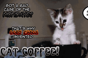 Cat Coffee