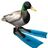 Duckaboom's avatar