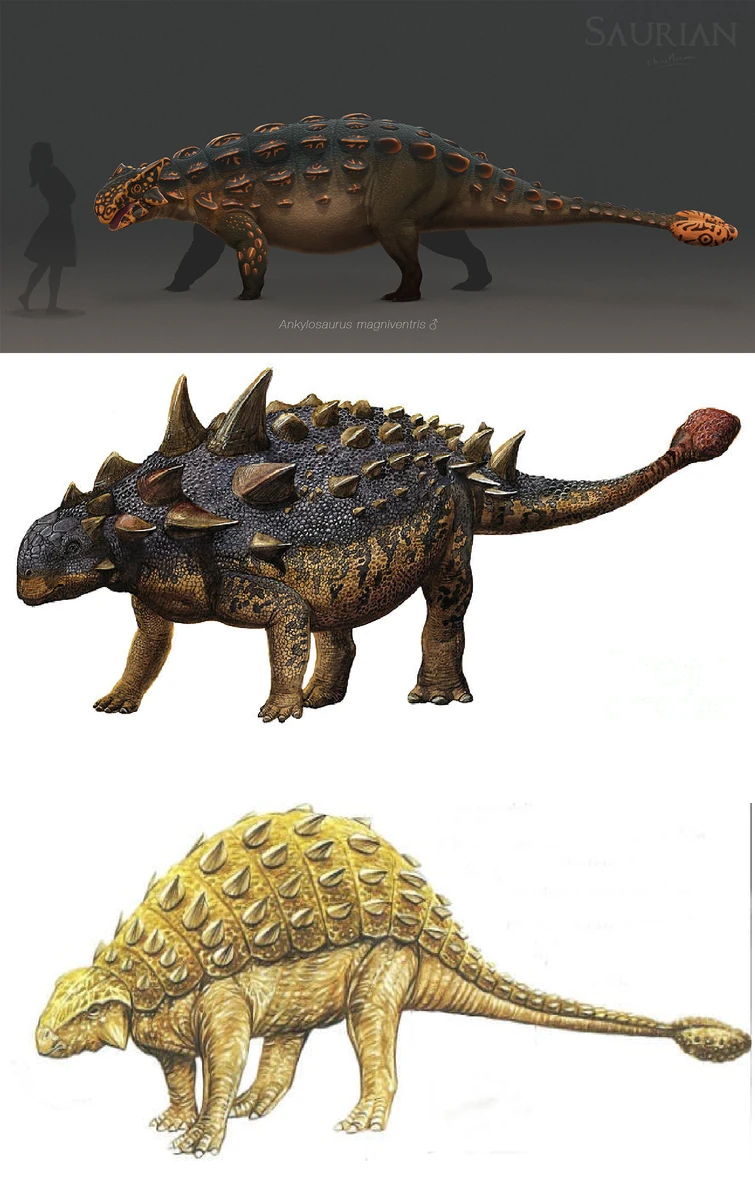 Dino und Euoplocephalus