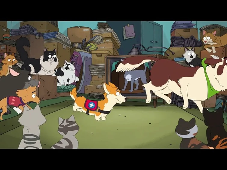 this is such a good petcore show Fandom