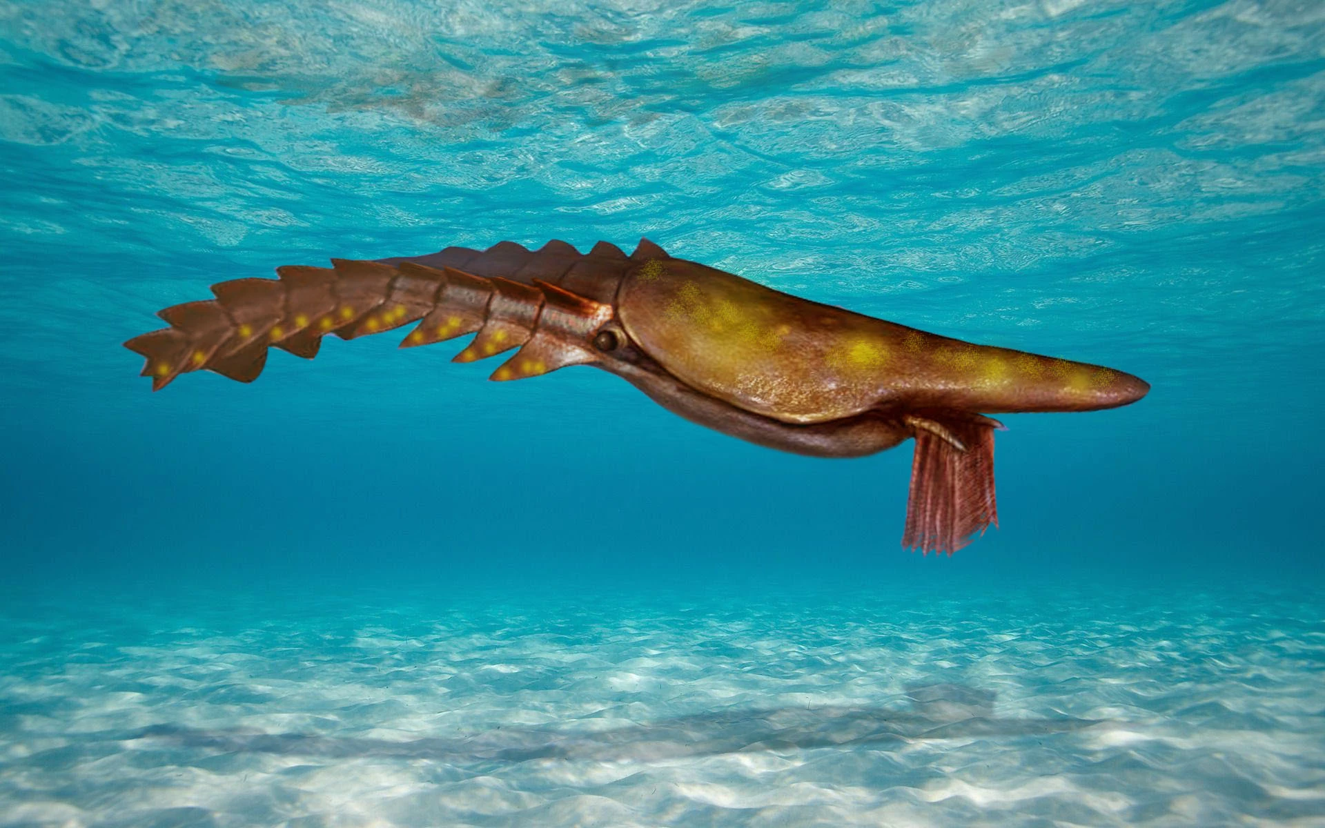 Daily prehistoric animals | Fandom