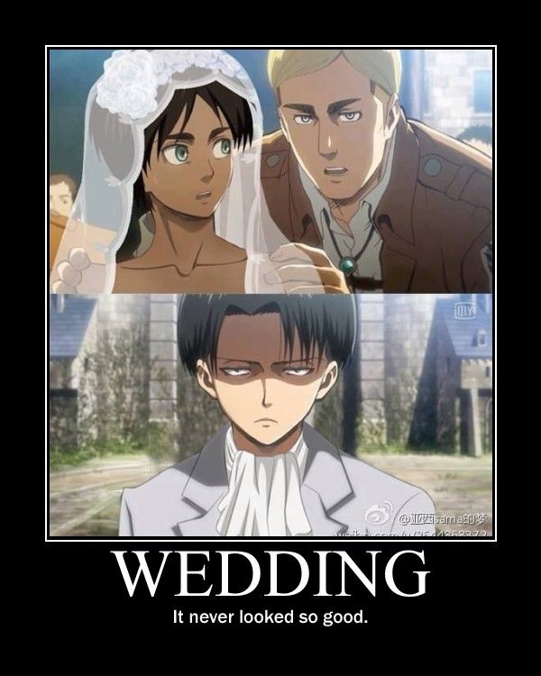 Having A Bad Day Well Here S Some Funny Aot Memes Fandom