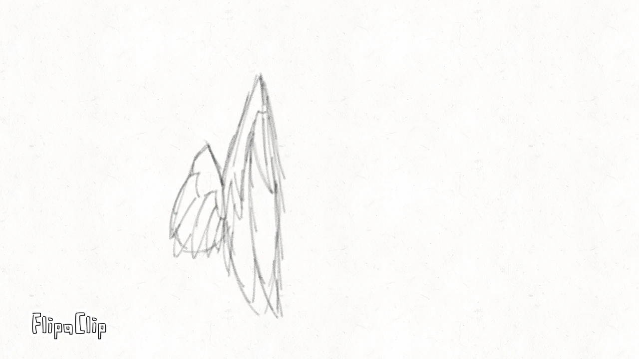 A friend told me to try and animate a bird wing with no reference or prior practice lmao Fandom