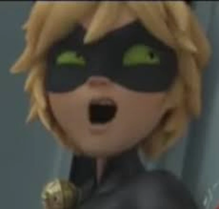Put Funny Pictures Of Cat Noir On This Post Fandom