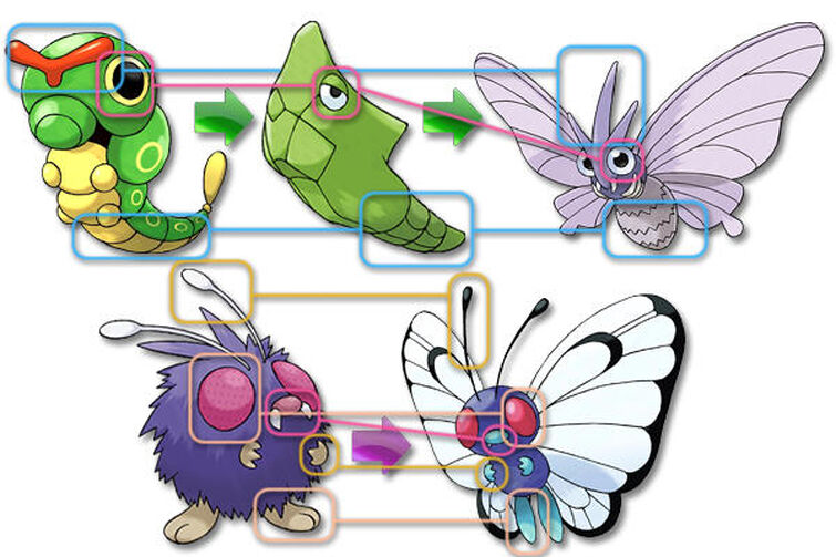 caterpie metapod butterfree