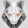 GreyFox06
