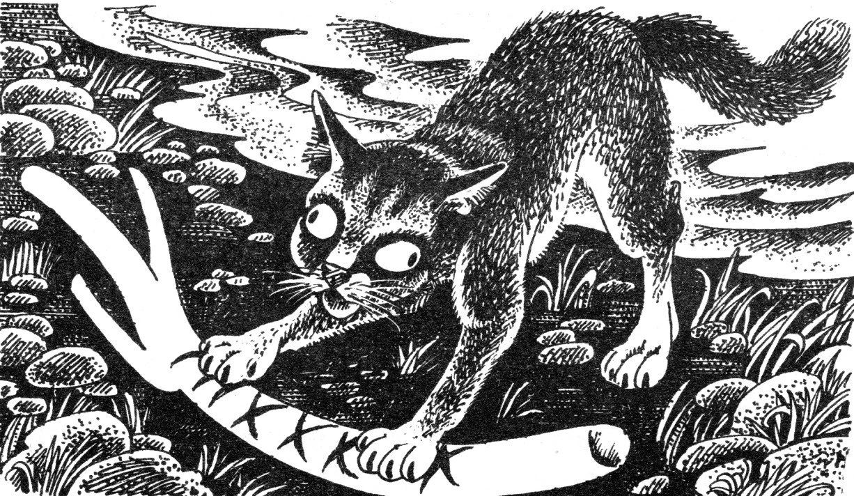 Коты воители рисунки из книг