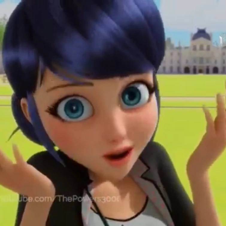 Who Are You Mari Ladybug Or Adrian Cat Noir Fandom