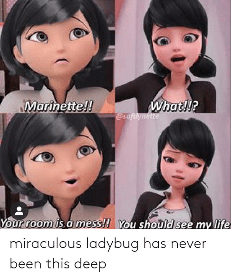 Miraculous ladybug and chat noir the movie  Miraculous ladybug memes,  Miraculous ladybug funny, Miraculous ladybug movie